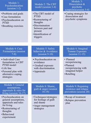 Feasibility of trauma-focused cognitive behavioural therapy for patients with PTSD and psychosis